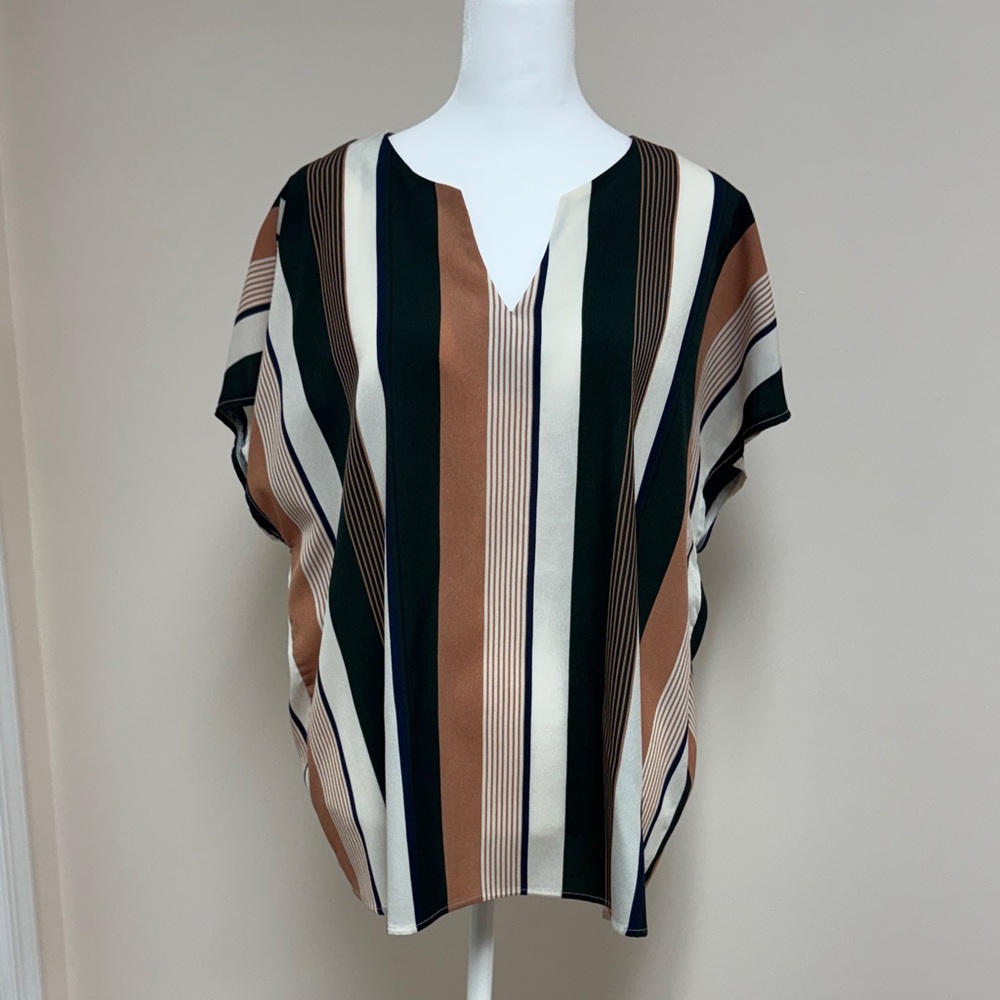 Striped Multicolor Women's Blouse